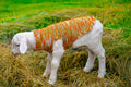 ABMANPP - ANIMALS - DIGITAL DOWNLOAD