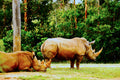 ABMANPP - ANIMALS - DIGITAL DOWNLOAD