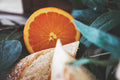 ABMANPP - FOOD - DIGITAL DOWNLOAD