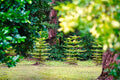 ABMANPP - NATURE - DIGITAL DOWNLOAD
