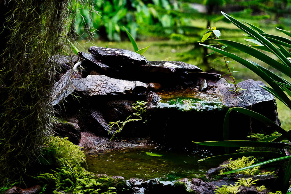 ABMANPP - NATURE - DIGITAL DOWNLOAD