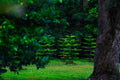 ABMANPP - NATURE - DIGITAL DOWNLOAD