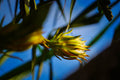 ABMANPP - NATURE - DIGITAL DOWNLOAD