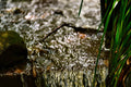 ABMANPP - NATURE - DIGITAL DOWNLOAD