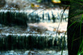 ABMANPP - NATURE - DIGITAL DOWNLOAD