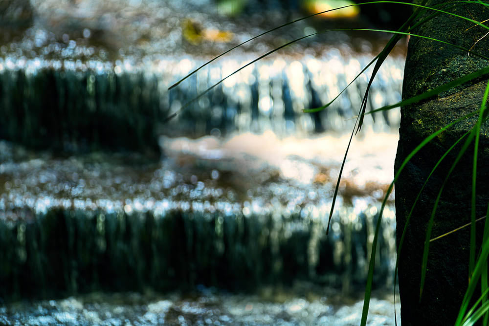 ABMANPP - NATURE - DIGITAL DOWNLOAD
